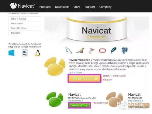 圖解Navicat從下載到使用步驟