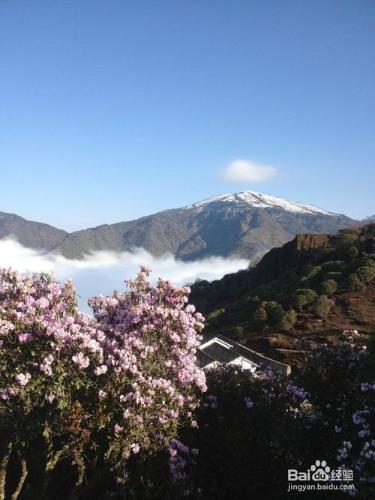 轎子雪山自駕遊攻略