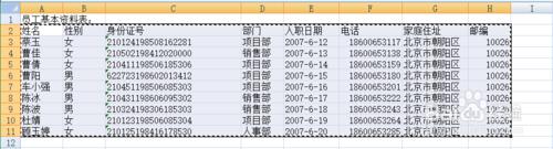 使用魔方網表建立員工資料表