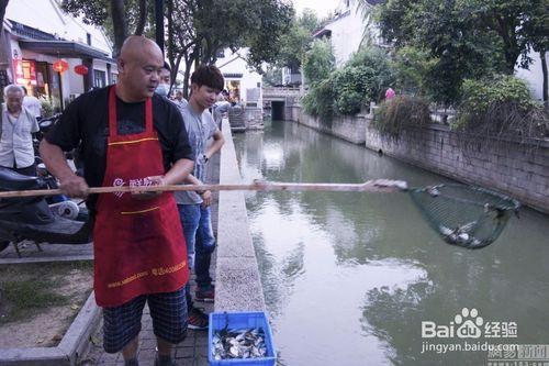 如何在河邊撈魚