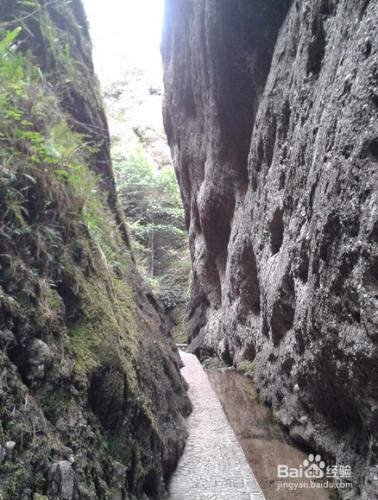 連城冠豸山旅遊攻略