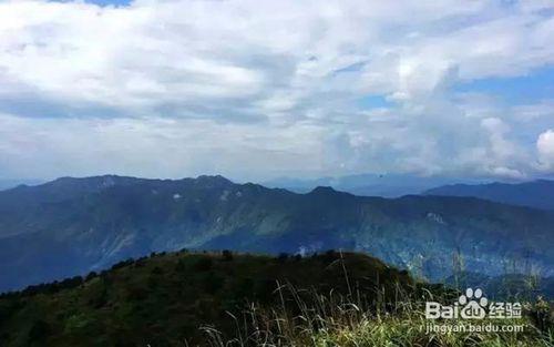 廣州周邊旅遊攻略——門票路線一篇攻略足夠享受