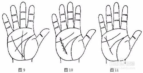 如何從掌紋判斷健康，教你對在家健康瞭如指掌
