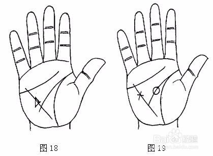 如何從掌紋判斷健康，教你對在家健康瞭如指掌