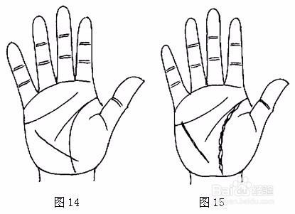 如何從掌紋判斷健康，教你對在家健康瞭如指掌