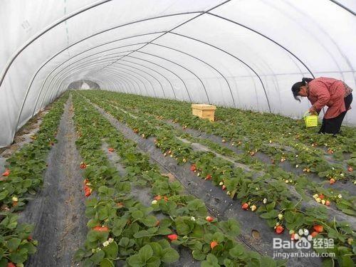 溫溼度感測器無線監測控制系統的不同領域應用