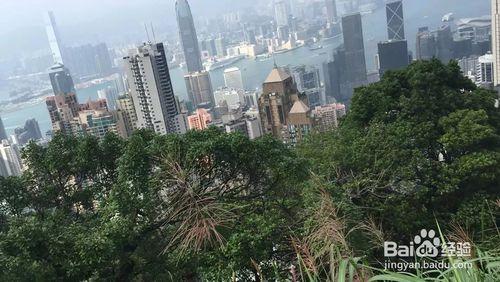 香港美食美景