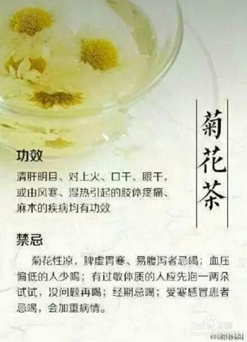 九大茶葉的功效與禁忌