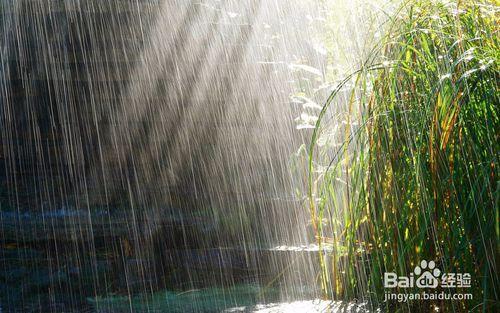 國慶下雨怎麼玩