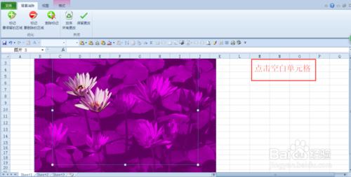 用excel2010摳圖（刪除背景）和裁剪圖片