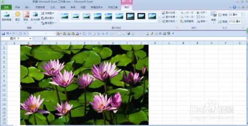 用excel2010摳圖（刪除背景）和裁剪圖片