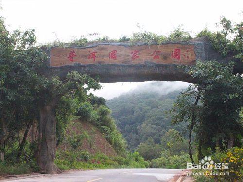 普洱太陽河國家森林公園旅遊攻略？