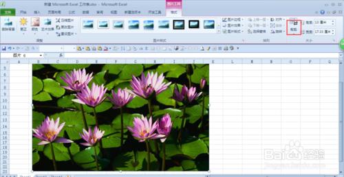 用excel2010摳圖（刪除背景）和裁剪圖片