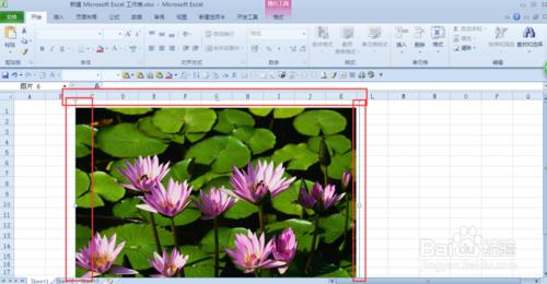 用excel2010摳圖（刪除背景）和裁剪圖片