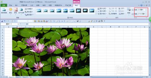 用excel2010摳圖（刪除背景）和裁剪圖片