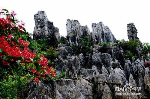 華鎣山旅遊攻略