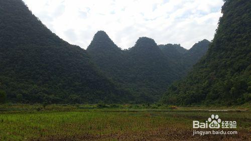 十一黃金週荔波茂蘭行