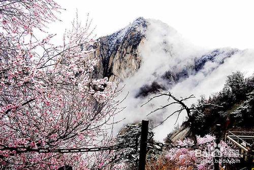 華山著名拍攝點