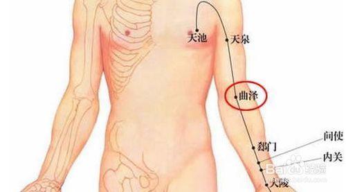 中醫心肺復甦七大穴位