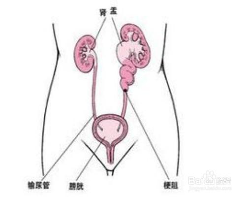 老年人怎樣幸福度晚年