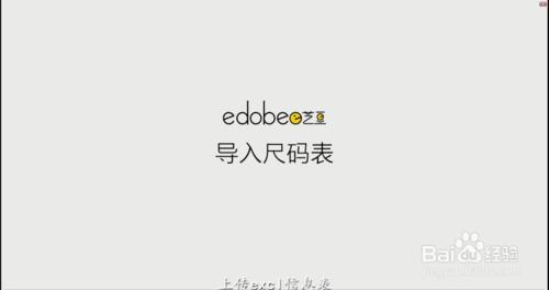 如何使用藝豆edobee平臺，匯入尺碼錶？