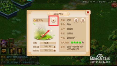 夢幻西遊如何給萌寵改名？