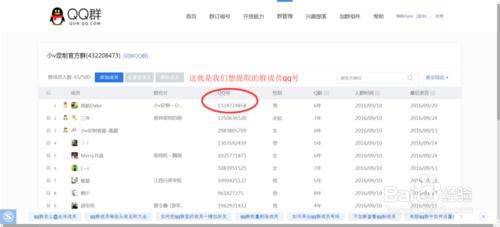 如何快速提取QQ群成員