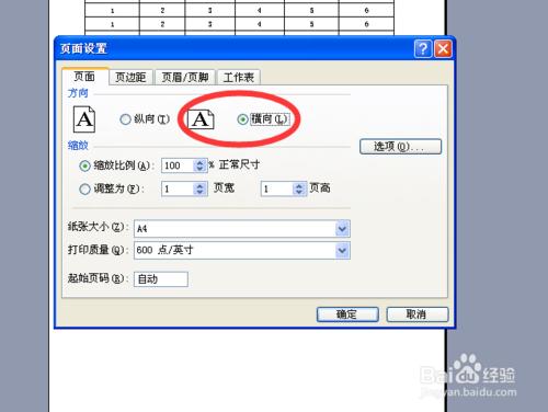 excel2003列印設定：怎麼列印成一張