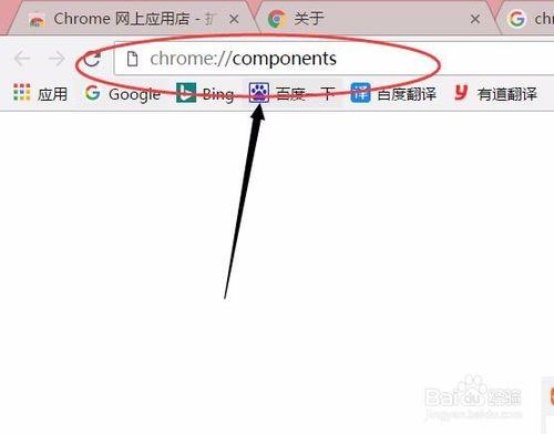 谷歌瀏覽器Chrome顯示Flash Player已過期怎麼辦