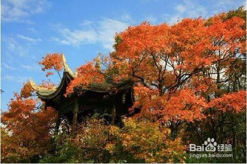 成都近郊一日遊最佳選擇地