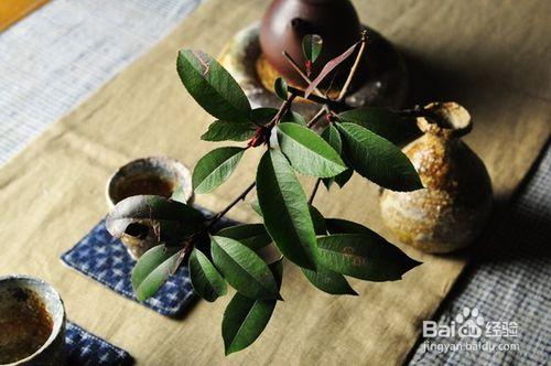 茶具中青花瓷、汝窯、柴燒的知識有哪些？