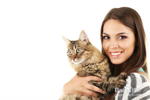 沒有貓鼻支可以吃貓胺嗎，貓胺的主要成分是什麼