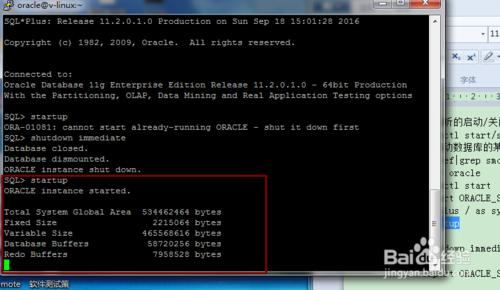 linux下啟動oracle例項