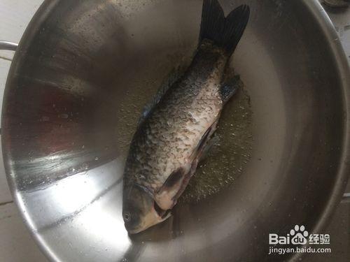 經典奶白鯽魚豆腐湯