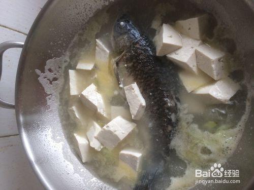 經典奶白鯽魚豆腐湯