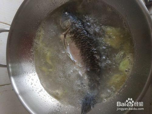 經典奶白鯽魚豆腐湯