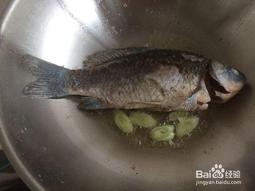 經典奶白鯽魚豆腐湯