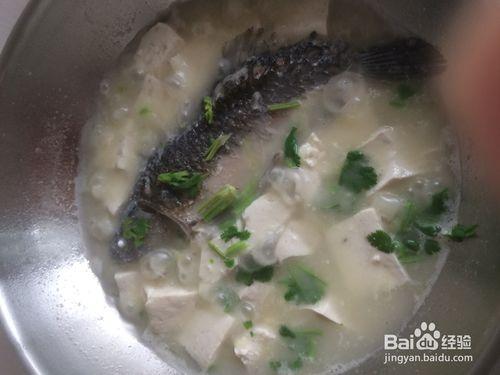 經典奶白鯽魚豆腐湯