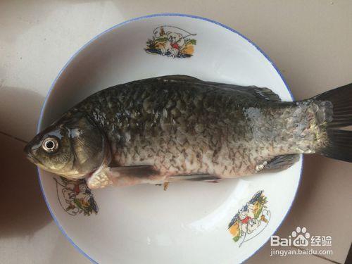 經典奶白鯽魚豆腐湯