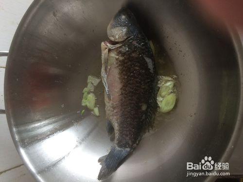 經典奶白鯽魚豆腐湯