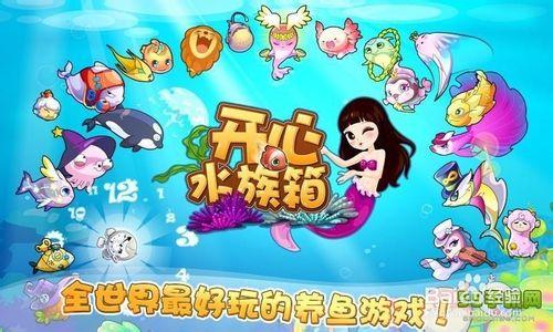 開心水族箱怎麼掛寶