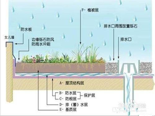 樓頂種菜怎麼砌菜園