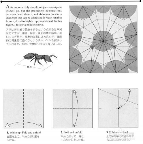 昆蟲摺紙—螞蟻的摺紙圖解教程