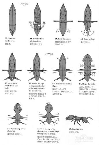 昆蟲摺紙—螞蟻的摺紙圖解教程