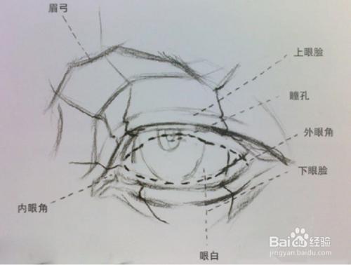 男士眼睛素描寫生圖解教程