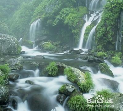 社會熱點—青山綠水剖析