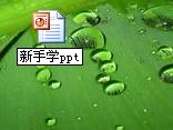 新手製作ppt，教你如何編輯文字，如何插入圖片