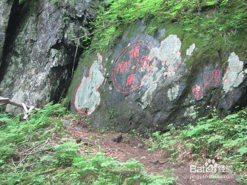 哈爾濱-五常市鳳凰山旅遊路線和攻略