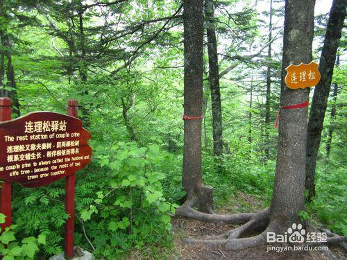 哈爾濱-五常市鳳凰山旅遊路線和攻略