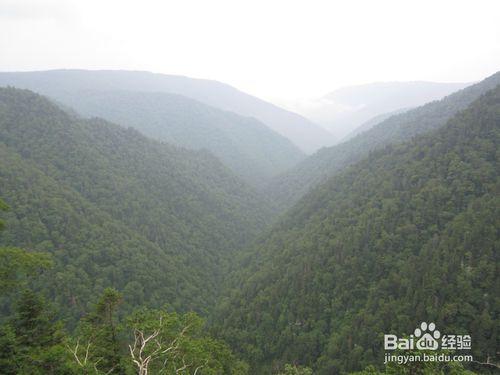 哈爾濱-五常市鳳凰山旅遊路線和攻略